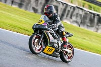 Oulton-Park-14th-March-2020;PJ-Motorsport-Photography-2020;anglesey;brands-hatch;cadwell-park;croft;donington-park;enduro-digital-images;event-digital-images;eventdigitalimages;mallory;no-limits;oulton-park;peter-wileman-photography;racing-digital-images;silverstone;snetterton;trackday-digital-images;trackday-photos;vmcc-banbury-run;welsh-2-day-enduro